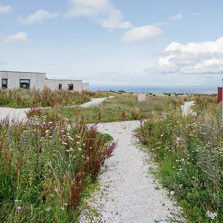Rustic Cabins, Sea Views From Rewilded Farm With Highland Cows 圣安德鲁斯 外观 照片