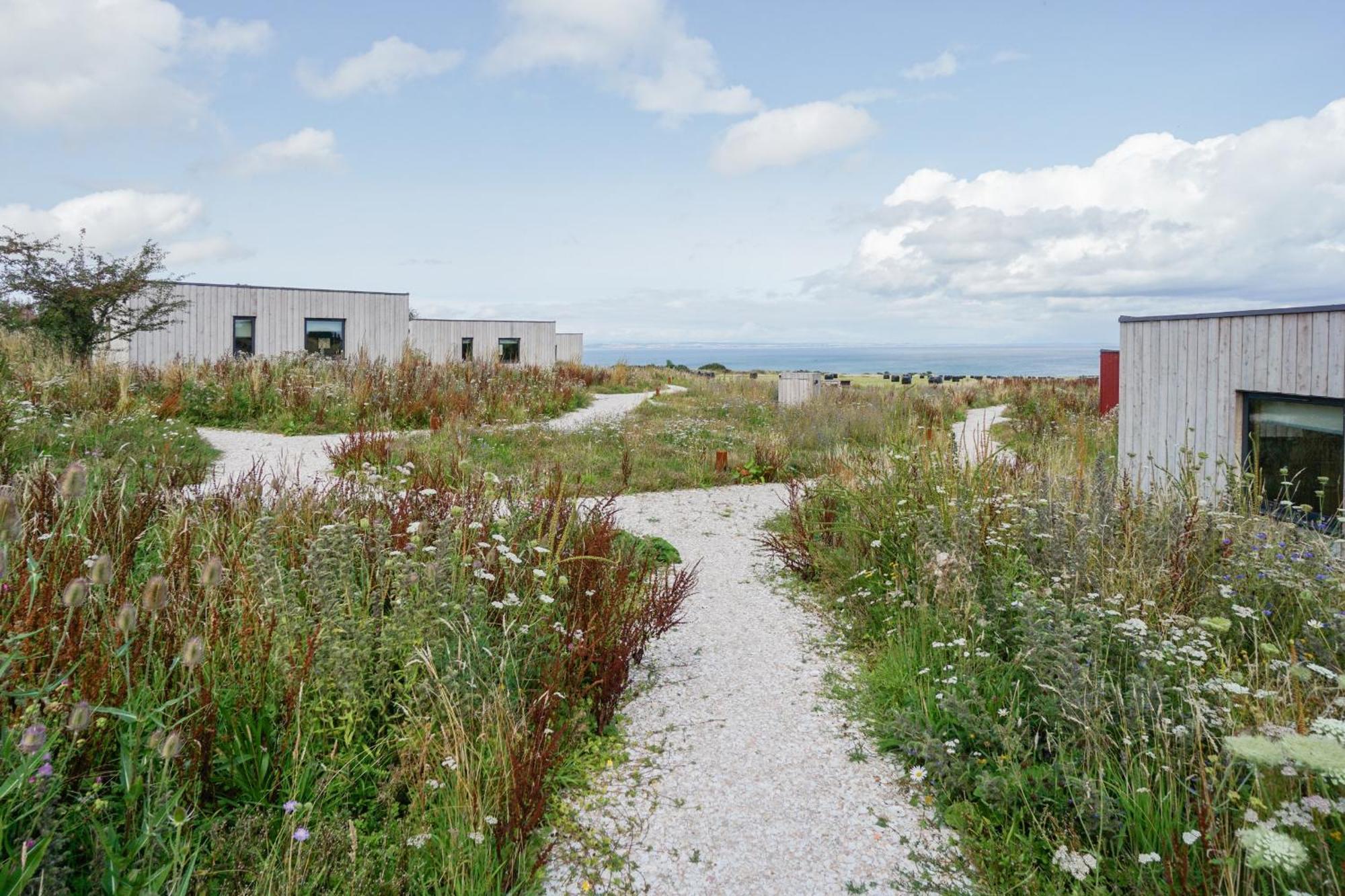 Rustic Cabins, Sea Views From Rewilded Farm With Highland Cows 圣安德鲁斯 外观 照片
