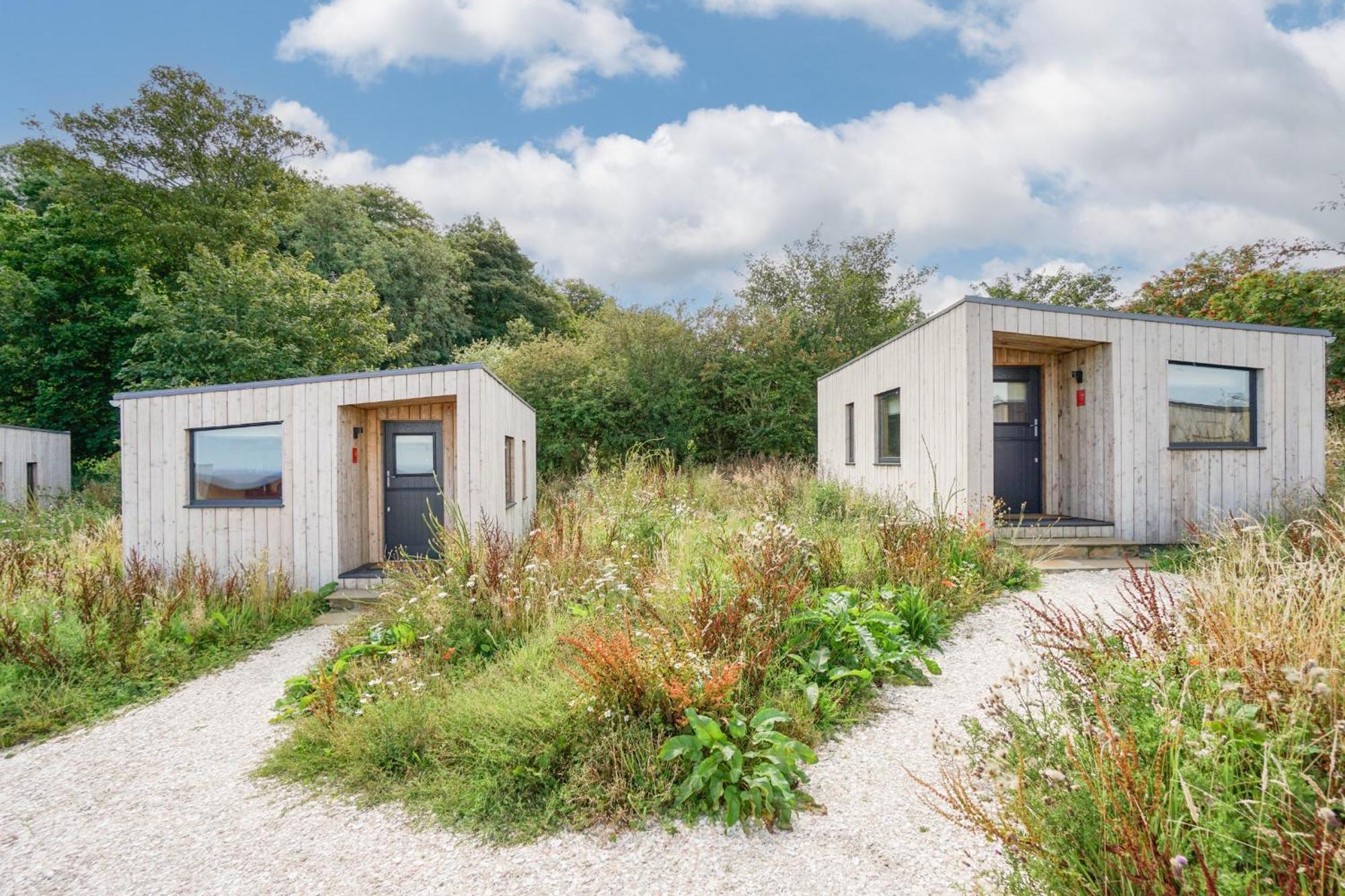 Rustic Cabins, Sea Views From Rewilded Farm With Highland Cows 圣安德鲁斯 外观 照片